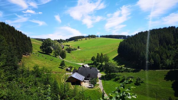 Unterhohnenhof, Triberg im Schwarzwald