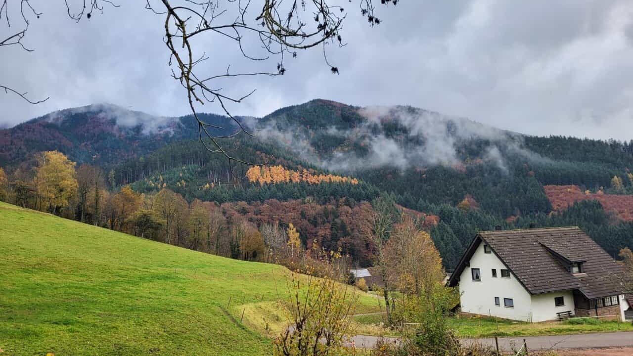 Dorerhof – Ferienwohnungen auf dem Bauernhof, Simonswald